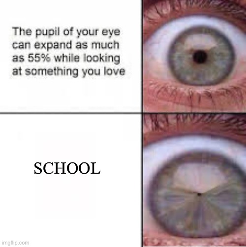 your pupil expands looking at someone you love | SCHOOL | image tagged in your pupil expands looking at someone you love | made w/ Imgflip meme maker