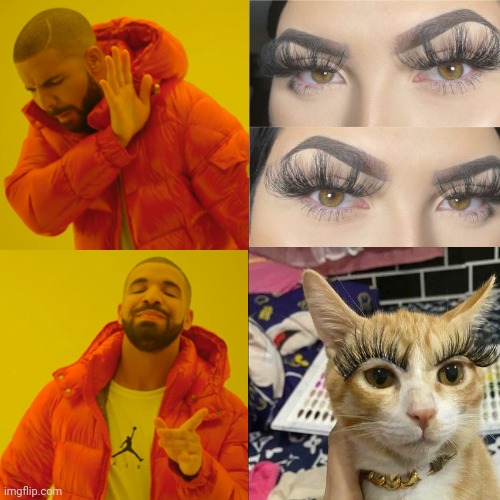 High Quality Cat vs Human Big Lashes Blank Meme Template