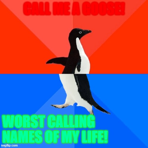 Socially Awesome Awkward Penguin | CALL ME A GOOSE! WORST CALLING NAMES OF MY LIFE! | image tagged in memes,socially awesome awkward penguin | made w/ Imgflip meme maker