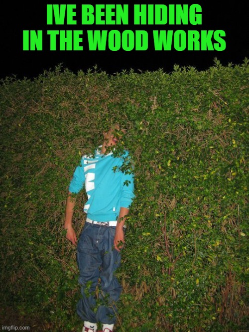 hide and seek | IVE BEEN HIDING IN THE WOOD WORKS | image tagged in hide and seek | made w/ Imgflip meme maker