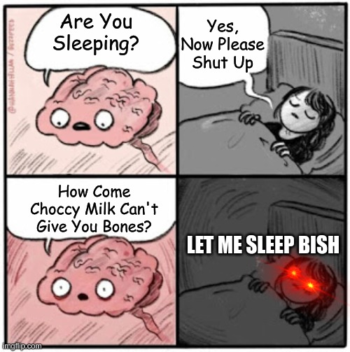 Brain Before Sleep | Yes, Now Please Shut Up; Are You Sleeping? How Come Choccy Milk Can't Give You Bones? LET ME SLEEP BISH | image tagged in brain before sleep | made w/ Imgflip meme maker