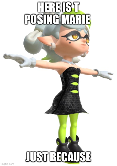 Beididjjsjsh hudnsjsjsj shehshehshusjsjsuiskeiducujwkaoa | HERE IS T POSING MARIE; JUST BECAUSE | image tagged in t posing marie | made w/ Imgflip meme maker