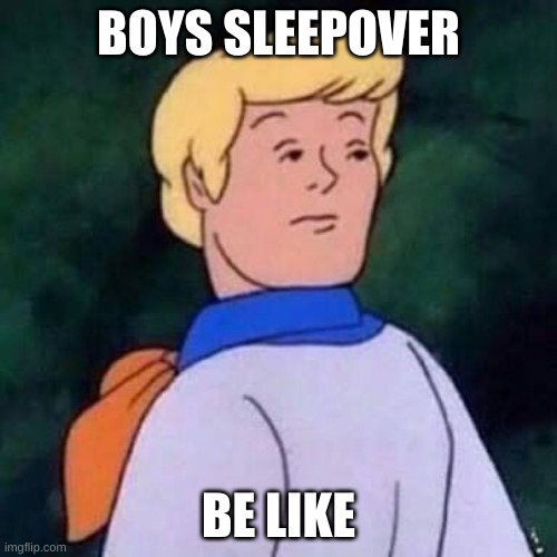 wut | BOYS SLEEPOVER; BE LIKE | image tagged in fred scooby doo wut | made w/ Imgflip meme maker