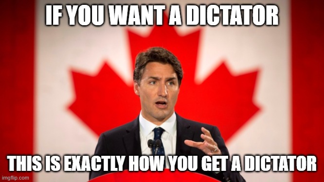 Justin Trudeau | IF YOU WANT A DICTATOR THIS IS EXACTLY HOW YOU GET A DICTATOR | image tagged in justin trudeau | made w/ Imgflip meme maker