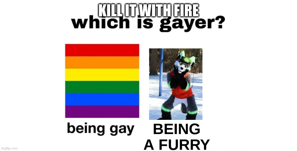 Which Is Gayer? | KILL IT WITH FIRE; BEING A FURRY | image tagged in which is gayer | made w/ Imgflip meme maker