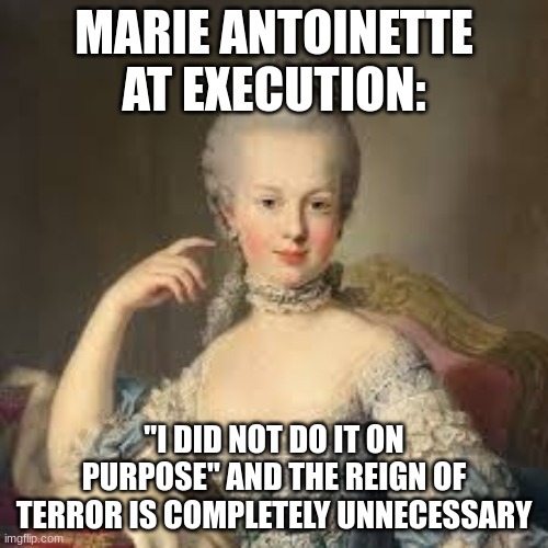 Marie Antoinette at execution | MARIE ANTOINETTE AT EXECUTION:; "I DID NOT DO IT ON PURPOSE" AND THE REIGN OF TERROR IS COMPLETELY UNNECESSARY | image tagged in french revolution,marie antoinette | made w/ Imgflip meme maker