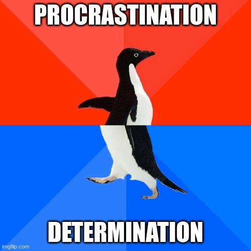 Socially Awesome Awkward Penguin | PROCRASTINATION; DETERMINATION | image tagged in memes,socially awesome awkward penguin,funny memes,school | made w/ Imgflip meme maker