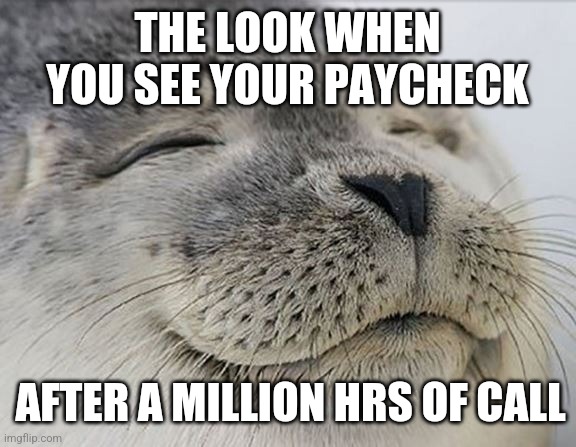 Paycheck after on call | THE LOOK WHEN YOU SEE YOUR PAYCHECK; AFTER A MILLION HRS OF CALL | image tagged in pay,that moment when | made w/ Imgflip meme maker
