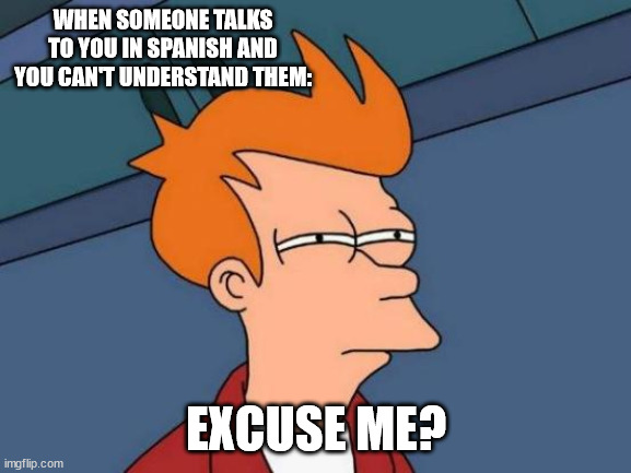 Futurama Fry Meme | WHEN SOMEONE TALKS TO YOU IN SPANISH AND YOU CAN'T UNDERSTAND THEM:; EXCUSE ME? | image tagged in memes,futurama fry | made w/ Imgflip meme maker