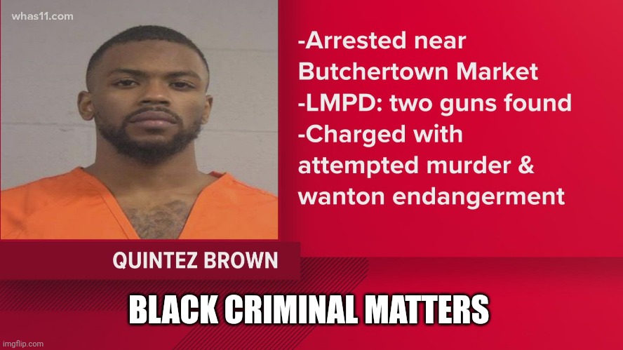 You can't make it up Quintez Brown BLM support turn out to be a criminal again BLM officially a criminal organization | BLACK CRIMINAL MATTERS | image tagged in blm | made w/ Imgflip meme maker