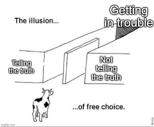 When your parents ask you if you've done something wrong: | Getting in trouble; Not telling the truth; Telling the truth | image tagged in illusion of free choice | made w/ Imgflip meme maker