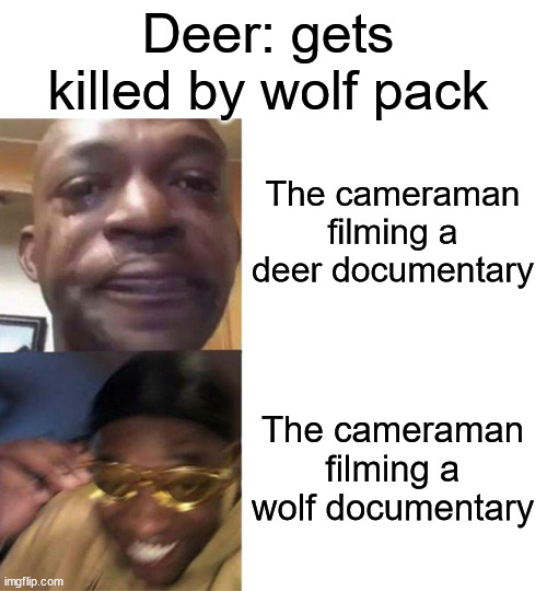 A creative title | Deer: gets killed by wolf pack; The cameraman filming a deer documentary; The cameraman filming a wolf documentary | image tagged in black guy crying and black guy laughing,cameraman,nature documentary,wolf,deer,cameraman filming documentary | made w/ Imgflip meme maker