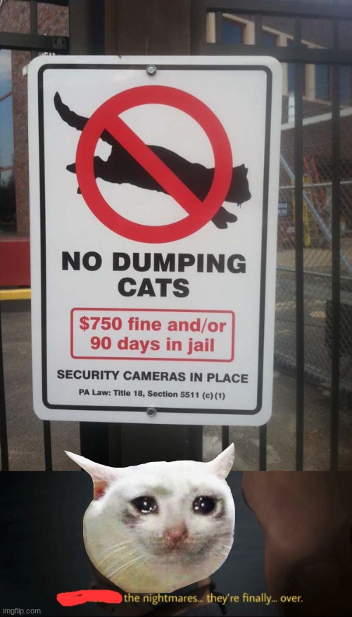 dumping cats | . | image tagged in the mission the nightmares they re finally over,no dumping cats,cats,funny memes | made w/ Imgflip meme maker