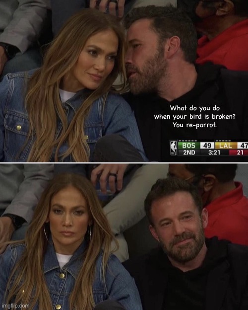 Ben Affleck JLo Whisper | What do you do when your bird is broken?
You re-parrot. | image tagged in ben affleck jlo whisper | made w/ Imgflip meme maker