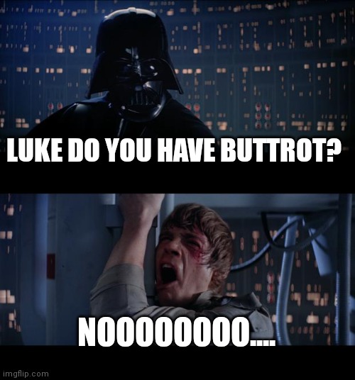 Star Wars No | LUKE DO YOU HAVE BUTTROT? NOOOOOOOO.... | image tagged in memes,star wars no | made w/ Imgflip meme maker