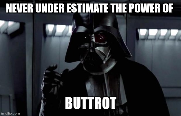 Darth Vader | NEVER UNDER ESTIMATE THE POWER OF; BUTTROT | image tagged in darth vader | made w/ Imgflip meme maker