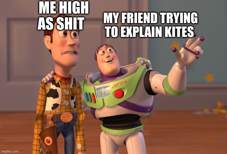 X, X Everywhere | ME HIGH AS SHIT; MY FRIEND TRYING TO EXPLAIN KITES | image tagged in memes,x x everywhere | made w/ Imgflip meme maker