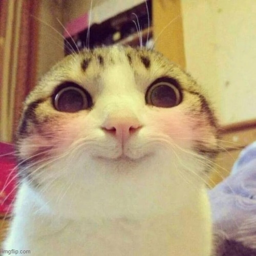 Smiling Cat Meme | image tagged in memes,smiling cat | made w/ Imgflip meme maker