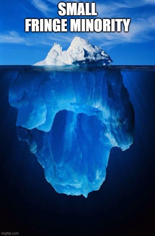 iceberg | SMALL FRINGE MINORITY | image tagged in iceberg | made w/ Imgflip meme maker