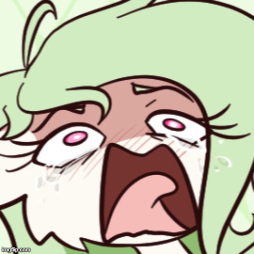 gardevoir screeching | image tagged in gardevoir screeching | made w/ Imgflip meme maker