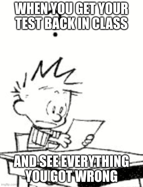 Excuse me what? | WHEN YOU GET YOUR TEST BACK IN CLASS; AND SEE EVERYTHING YOU GOT WRONG | image tagged in excuse me what | made w/ Imgflip meme maker