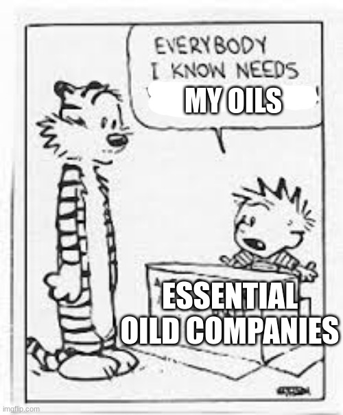 calvin and hobbes | MY OILS; ESSENTIAL OILD COMPANIES | image tagged in calvin and hobbes | made w/ Imgflip meme maker