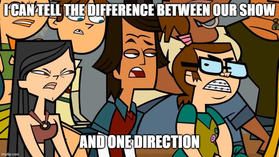 The difference | I CAN TELL THE DIFFERENCE BETWEEN OUR SHOW; AND ONE DIRECTION | image tagged in angry teammates glare at a opponent,total drama,one direction | made w/ Imgflip meme maker