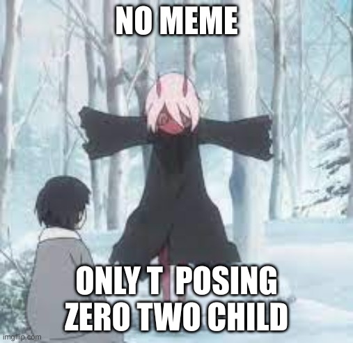 hkdh | NO MEME; ONLY T  POSING ZERO TWO CHILD | image tagged in t pose zero two child | made w/ Imgflip meme maker