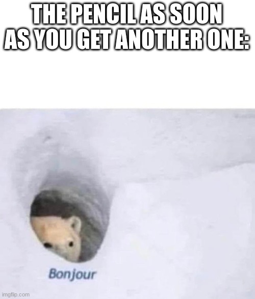 Bonjour | THE PENCIL AS SOON AS YOU GET ANOTHER ONE: | image tagged in bonjour | made w/ Imgflip meme maker