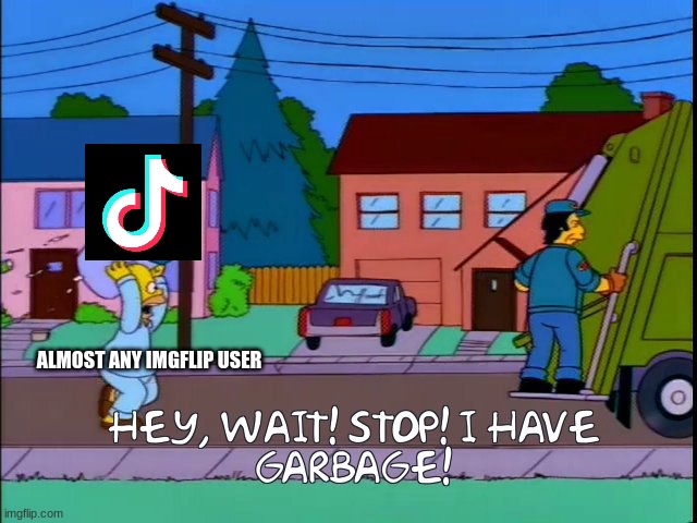 why does everyone suddenly hate tiktok? | ALMOST ANY IMGFLIP USER | image tagged in hey wait stop i have garbage,tiktok,simpsons | made w/ Imgflip meme maker