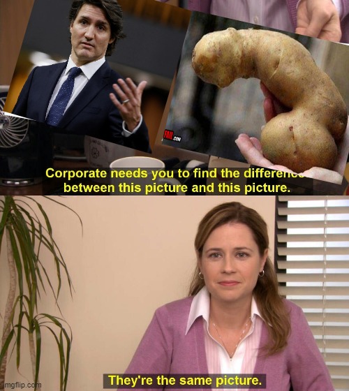 TWO DICTATORS | image tagged in dicktater,turdeau,fjt | made w/ Imgflip meme maker