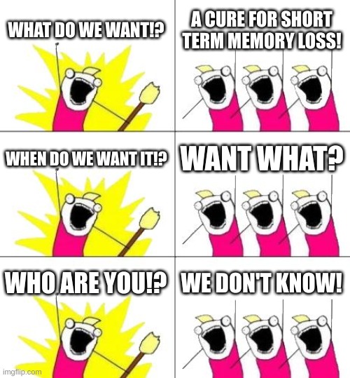 what is this called again? | WHAT DO WE WANT!? A CURE FOR SHORT TERM MEMORY LOSS! WHEN DO WE WANT IT!? WANT WHAT? WHO ARE YOU!? WE DON'T KNOW! | image tagged in memes,what do we want 3 | made w/ Imgflip meme maker