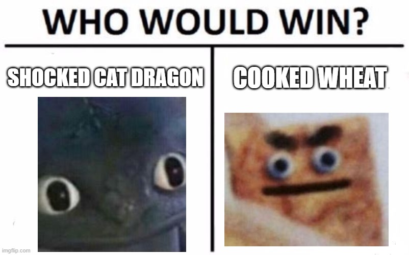 top 10 battles that ended in the destruction of the world | SHOCKED CAT DRAGON; COOKED WHEAT | image tagged in memes,who would win | made w/ Imgflip meme maker