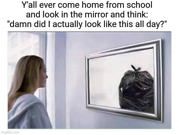 No? Just me? | Y'all ever come home from school and look in the mirror and think: "damn did I actually look like this all day?" | image tagged in trash in the mirror,me and the boys just me,school | made w/ Imgflip meme maker