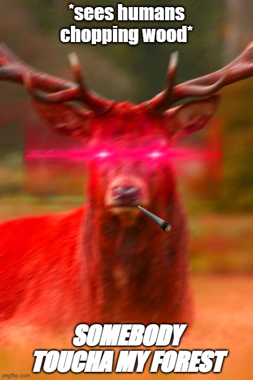 Somebody toucha my Forest | *sees humans chopping wood*; SOMEBODY TOUCHA MY FOREST | image tagged in deer begone thot | made w/ Imgflip meme maker