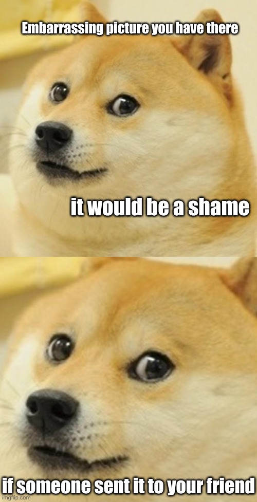 Embarrassing picture you have there; it would be a shame; if someone sent it to your friend | image tagged in memes,doge | made w/ Imgflip meme maker