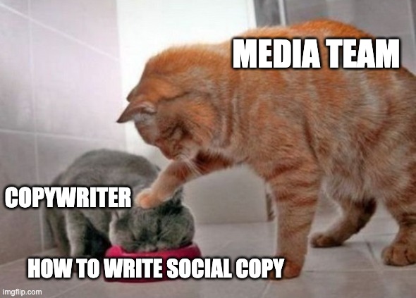 writing social media copy | MEDIA TEAM; COPYWRITER; HOW TO WRITE SOCIAL COPY | image tagged in force feed cat | made w/ Imgflip meme maker