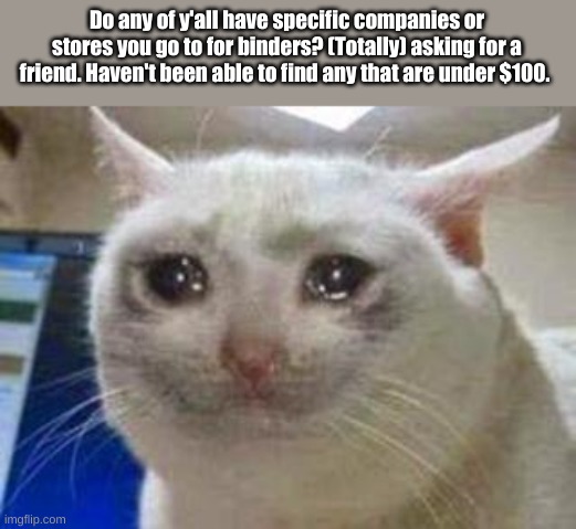 Asking for a friend- | Do any of y'all have specific companies or stores you go to for binders? (Totally) asking for a friend. Haven't been able to find any that are under $100. | image tagged in sad cat | made w/ Imgflip meme maker