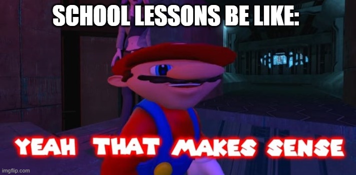 Mario that make sense | SCHOOL LESSONS BE LIKE: | image tagged in mario that make sense | made w/ Imgflip meme maker