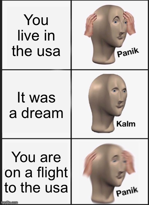 Sorry Americans but I dont want this to happen to me | You live in the usa; It was a dream; You are on a flight to the usa | image tagged in memes,panik kalm panik,america sucks,australia is better than america | made w/ Imgflip meme maker