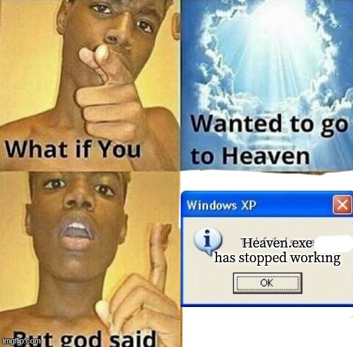 Heaven.exe moments | Heaven.exe has stopped working | image tagged in what if you wanted to go to heaven,task failed successfully | made w/ Imgflip meme maker