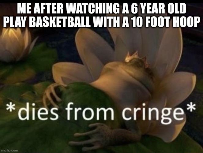 OOF SIZE | ME AFTER WATCHING A 6 YEAR OLD PLAY BASKETBALL WITH A 10 FOOT HOOP | image tagged in dies from cringe | made w/ Imgflip meme maker