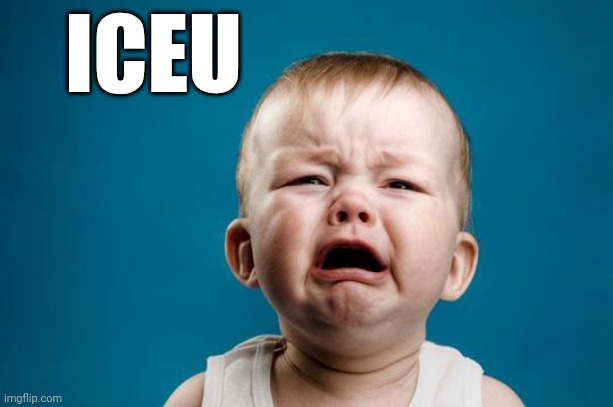 BABY CRYING | ICEU | image tagged in baby crying | made w/ Imgflip meme maker