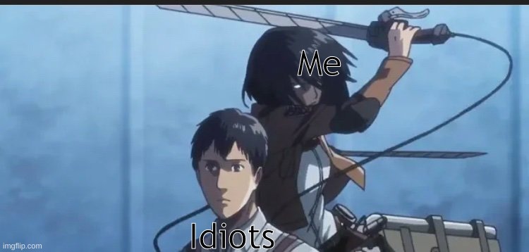 vxnvm | Me; Idiots | image tagged in aot anime | made w/ Imgflip meme maker