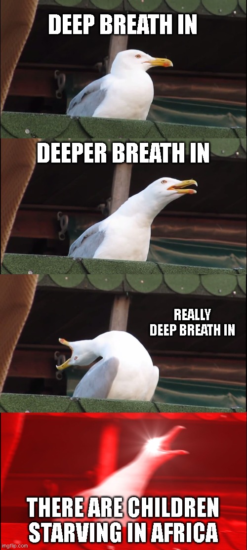 moms when you leave 1 crumb left | DEEP BREATH IN; DEEPER BREATH IN; REALLY DEEP BREATH IN; THERE ARE CHILDREN STARVING IN AFRICA | image tagged in memes,inhaling seagull | made w/ Imgflip meme maker