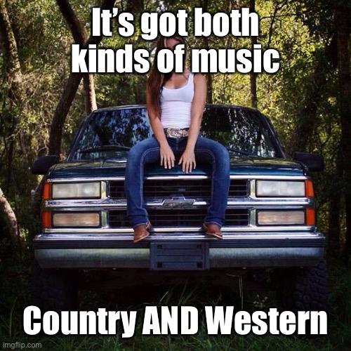 Country and Western | It’s got both kinds of music; Country AND Western | image tagged in country girls | made w/ Imgflip meme maker