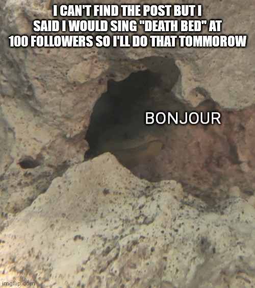 Bonjour | I CAN'T FIND THE POST BUT I SAID I WOULD SING "DEATH BED" AT 100 FOLLOWERS SO I'LL DO THAT TOMMOROW | image tagged in bonjour | made w/ Imgflip meme maker