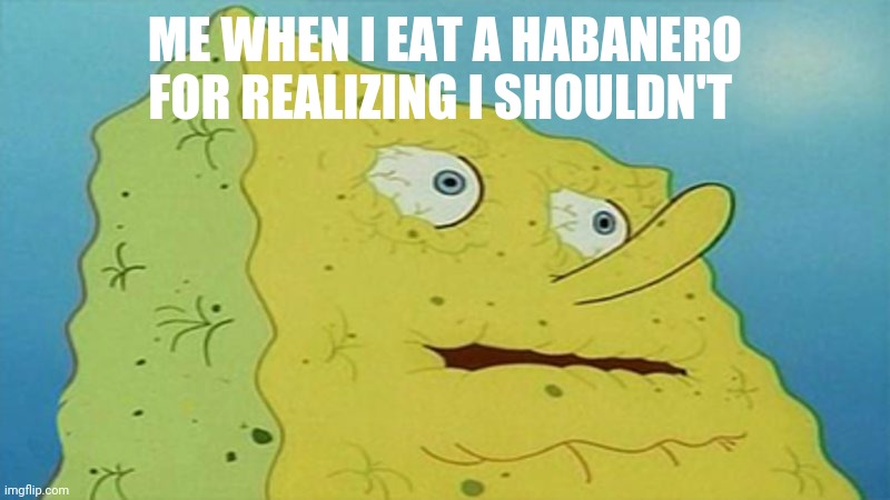 Me Eating a Habenero |  ME WHEN I EAT A HABANERO FOR REALIZING I SHOULDN'T | image tagged in spongebob,water | made w/ Imgflip meme maker