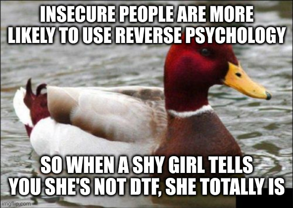 If they're confident enough to say yes, they really mean it |  INSECURE PEOPLE ARE MORE LIKELY TO USE REVERSE PSYCHOLOGY; SO WHEN A SHY GIRL TELLS YOU SHE'S NOT DTF, SHE TOTALLY IS | image tagged in memes,malicious advice mallard | made w/ Imgflip meme maker