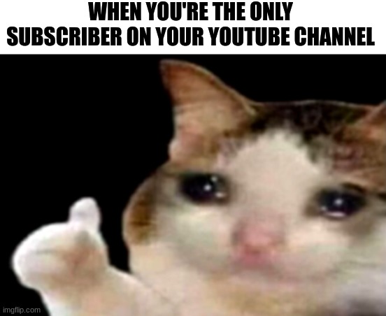 Truth hurts... | WHEN YOU'RE THE ONLY SUBSCRIBER ON YOUR YOUTUBE CHANNEL | image tagged in sad cat thumbs up,sad,memes,youtube,cue the sad music | made w/ Imgflip meme maker